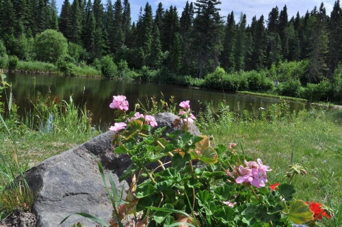 Gîte de la Montagne Enchantée image 15